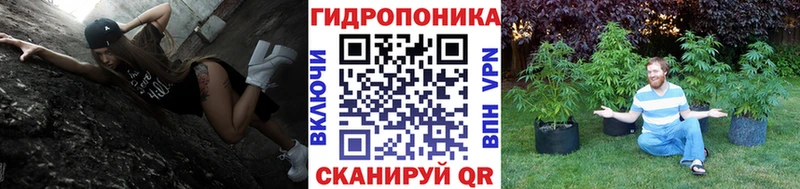 ГАШ Коряжма
