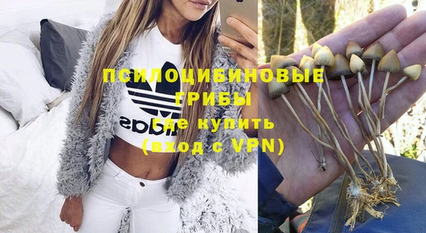 меф Арсеньев