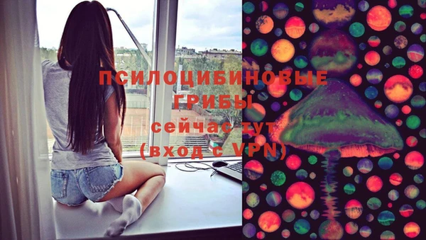 ECSTASY Армянск