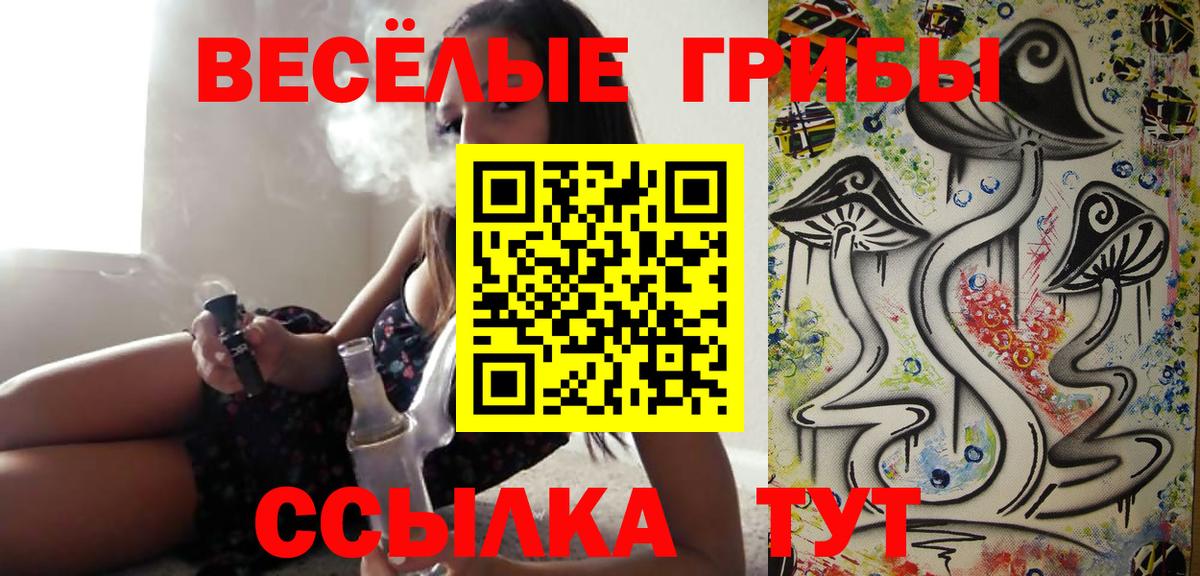 Галлюциногенные грибы Cubensis Коряжма