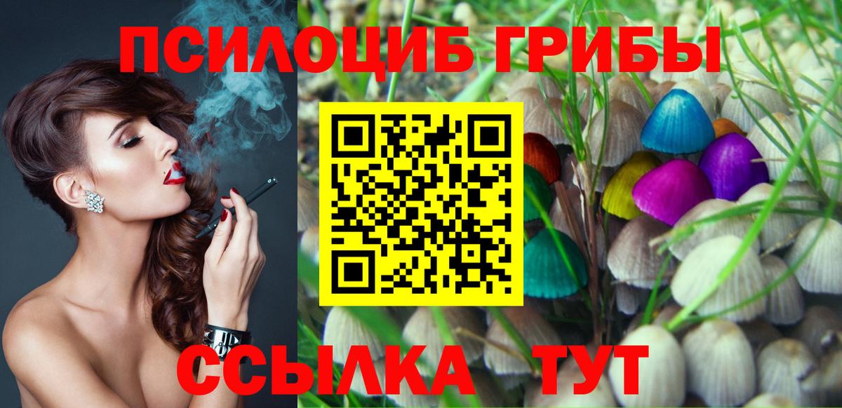Коряжма  Галлюциногенные грибы GOLDEN TEACHER  Псилоцибиновые грибы Psilocybe  Вход с VPN 